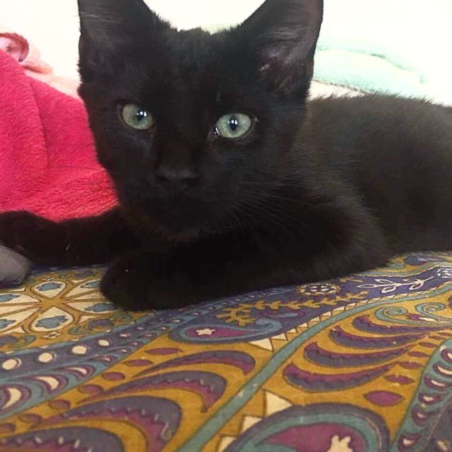 Photo of Hilary
