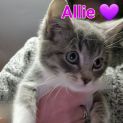 Photo of Allie