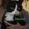 Photo of Maxine