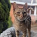 Photo of Marlow
