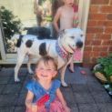 Photo of Clarabelle