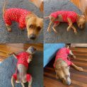 Photo of Maggie