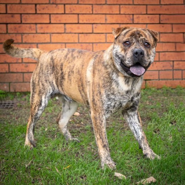 Photo of Rogan