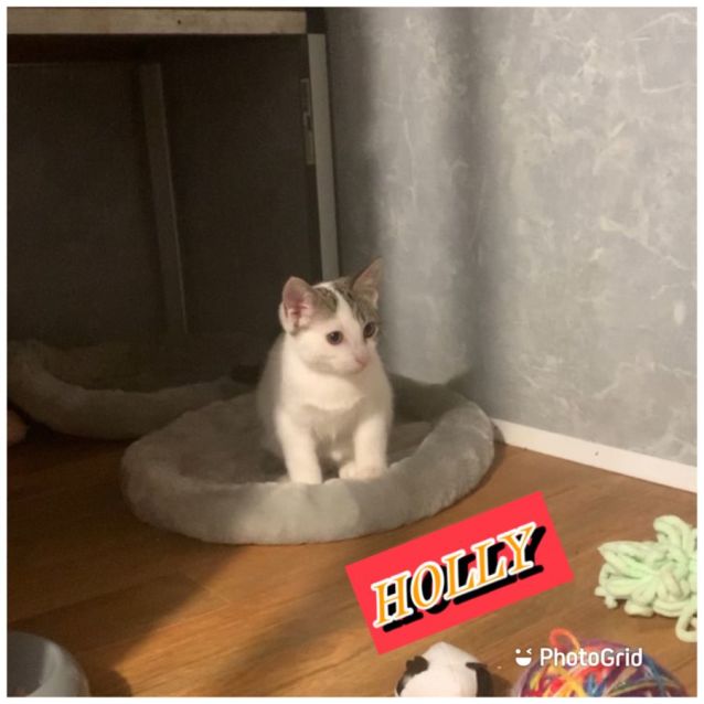 Photo of Holly & Hope 