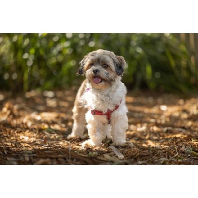 Photo of Daisy And Rosie