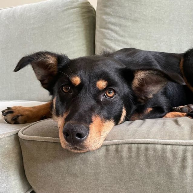 Photo of Polly