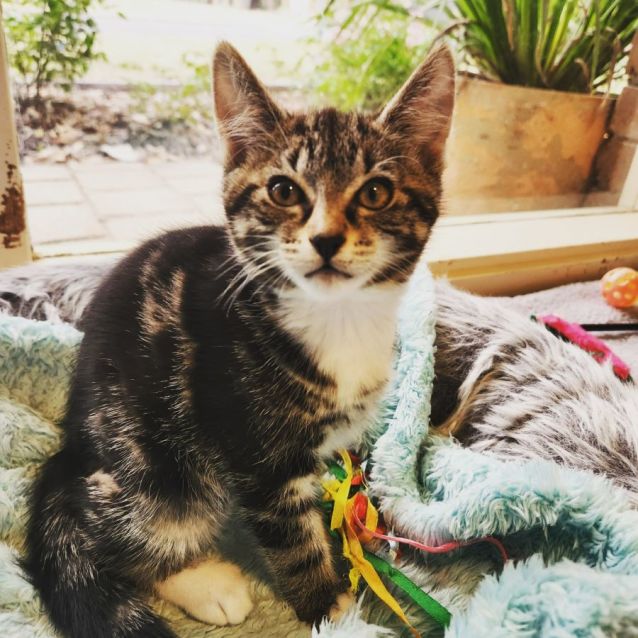 Photo of Ash 💜🌻