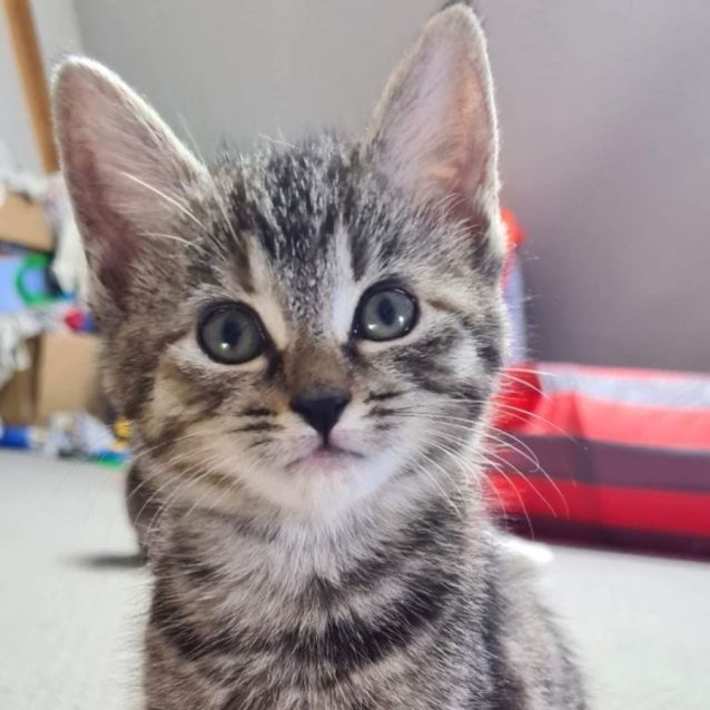 Photo of Winnie