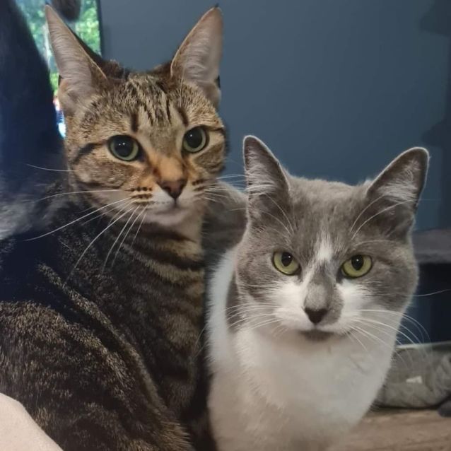 Photo of Ri Ri (Located In Pakenham)