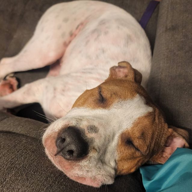 Photo of Penny