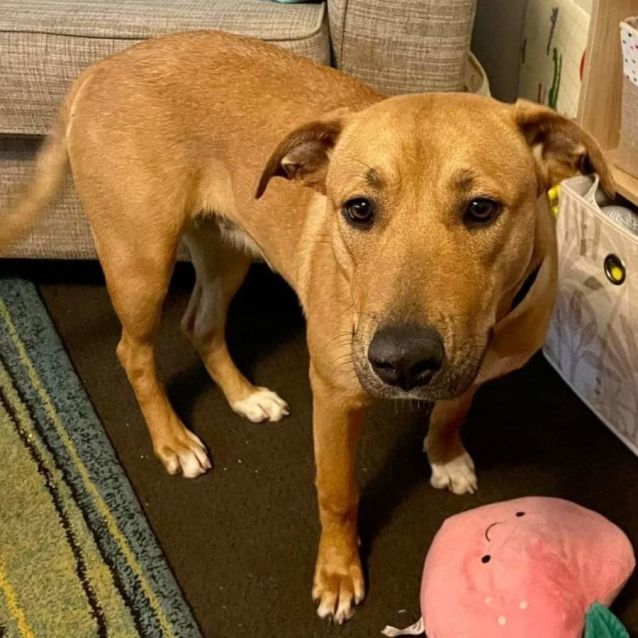 Photo of Minnie Mouse