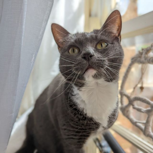 Photo of Luna & Olive