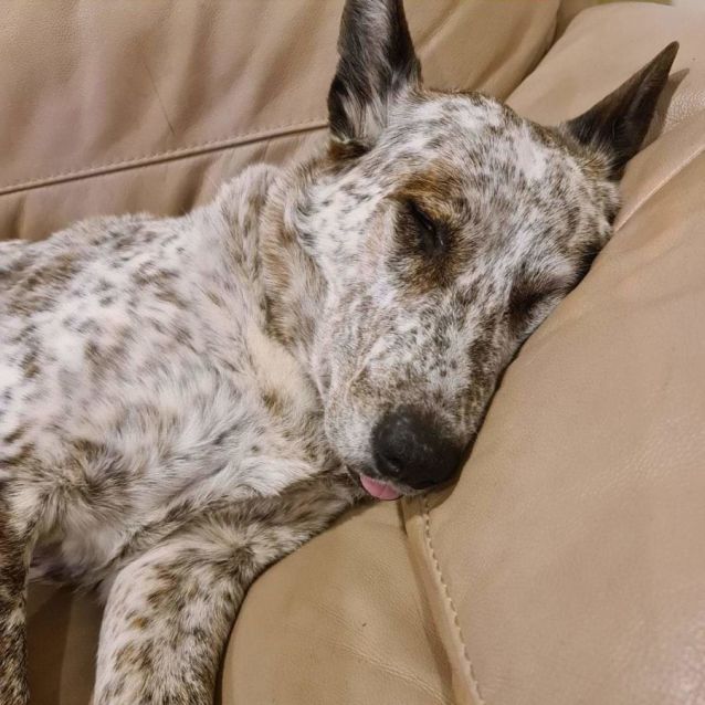 Photo of Jessie's Girl