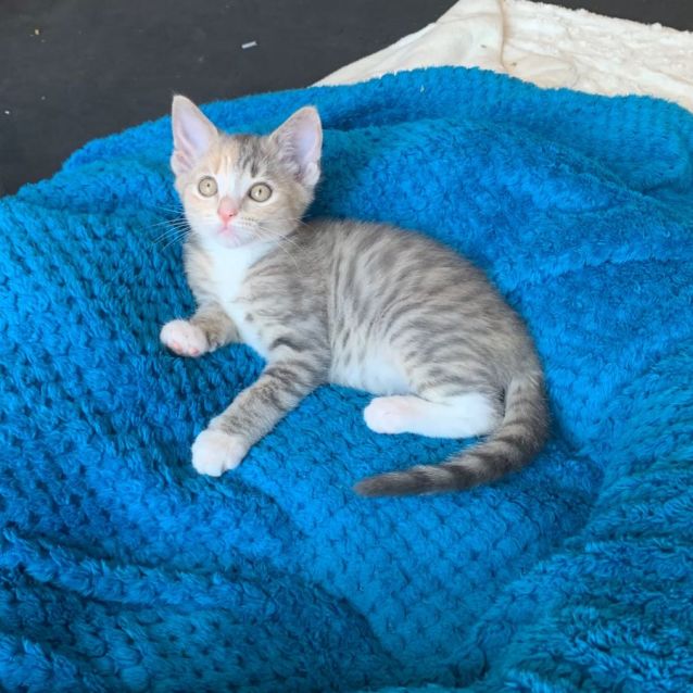 Photo of Summer☀️😻🩷