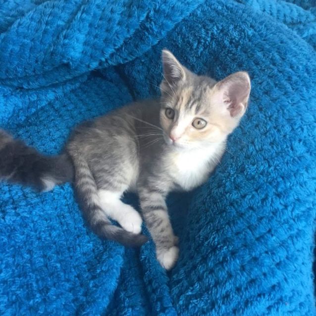 Photo of Summer☀️😻🩷