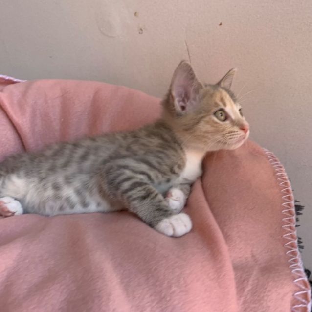 Photo of Summer☀️😻🩷