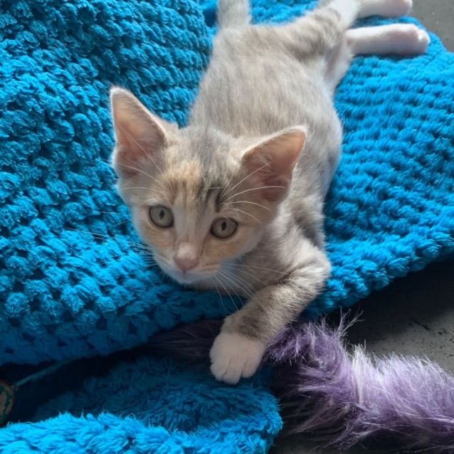 Photo of Summer☀️😻🩷