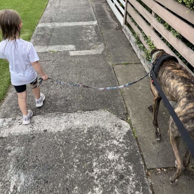 Photo of Brazilianite 