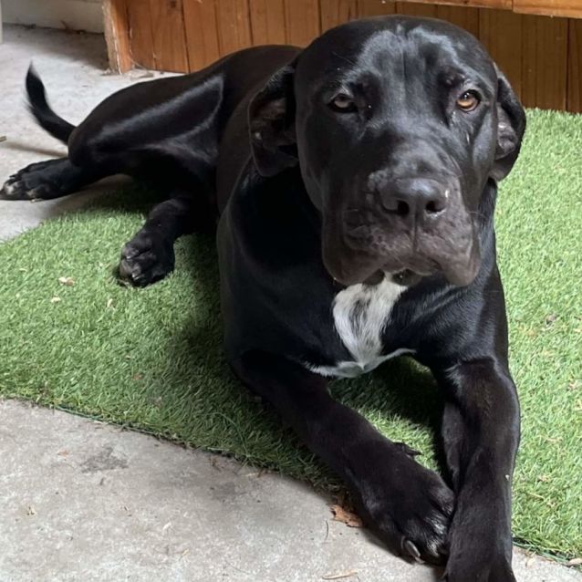 Photo of Severus Snape