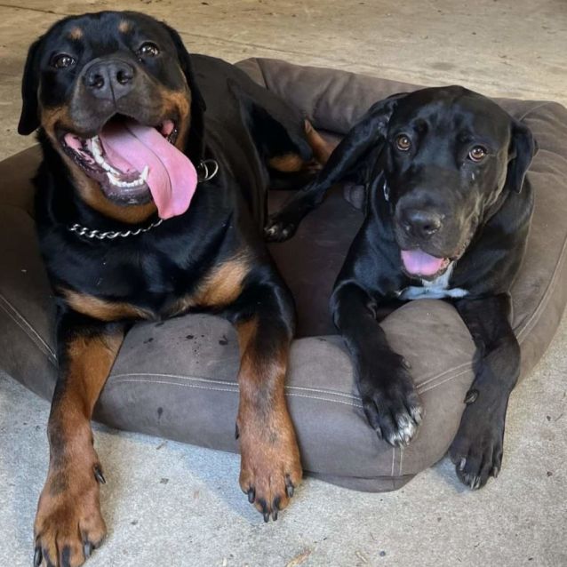 Photo of Severus Snape