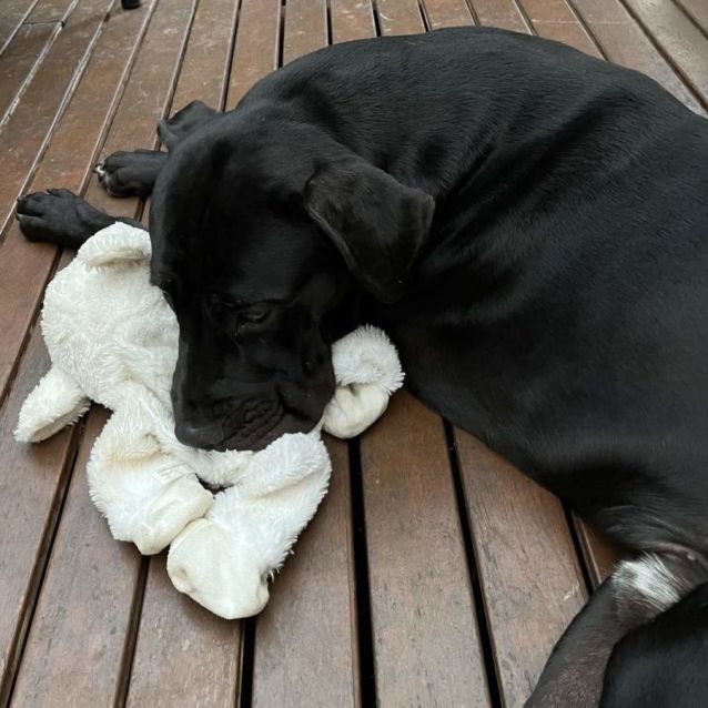 Photo of Severus Snape