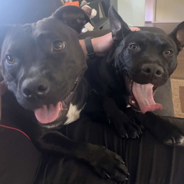 Photo of Delores Umbridge 