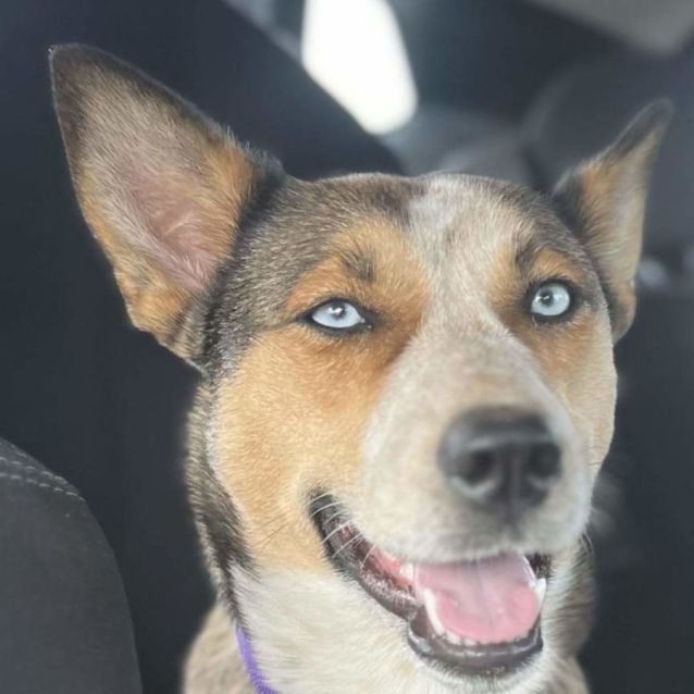 Photo of Nymphadora Tonks 