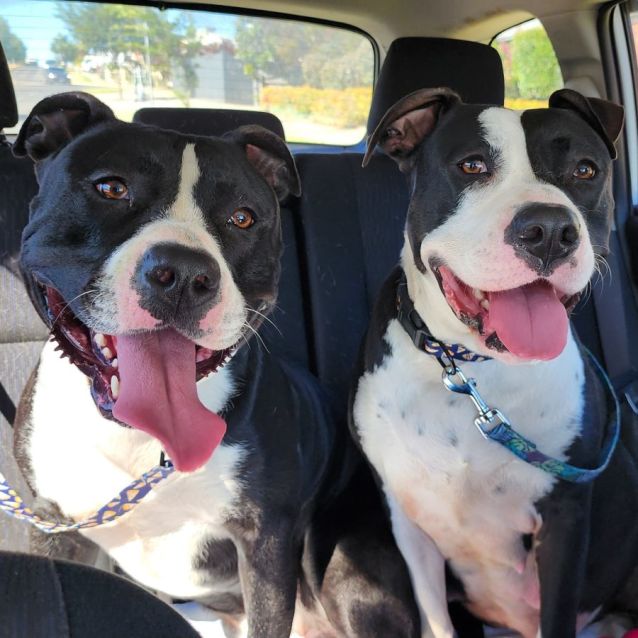 Photo of Jane And Thor