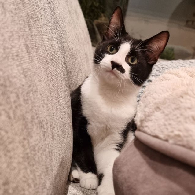 Photo of Monsieur Paul 💙