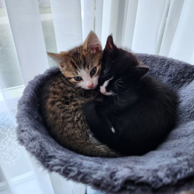 Photo of Squish And Shadow