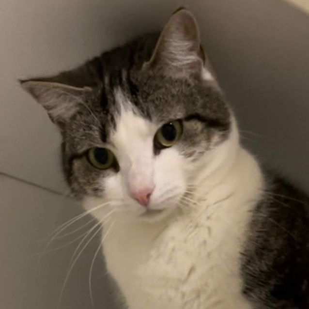 Photo of Delilah
