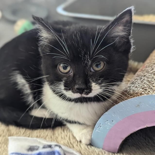 Photo of 💙 Bobby 💙