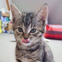 Photo of Winnie