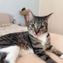 Photo of Willow 