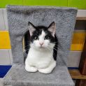 Photo of Jasper