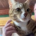 Photo of Leo