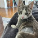 Photo of Holly