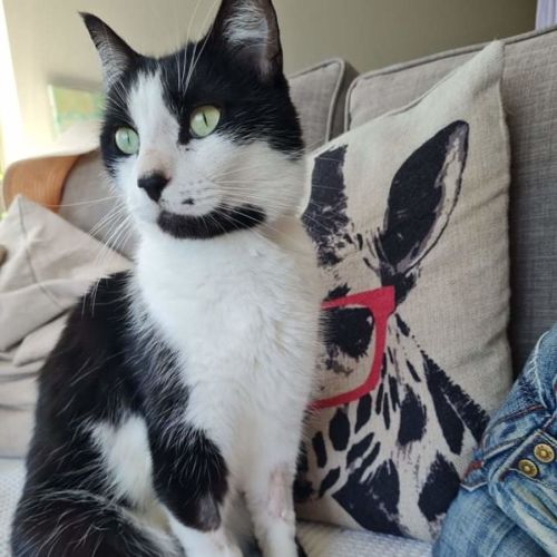 Halo (Located in Armadale)