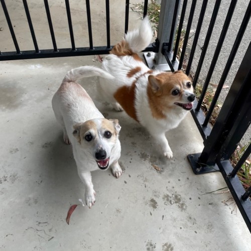 Meg and Trixie