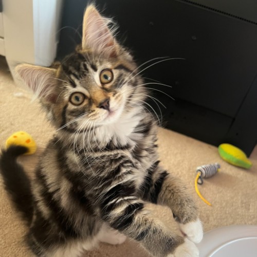 Stormie & Stella 💙🌷