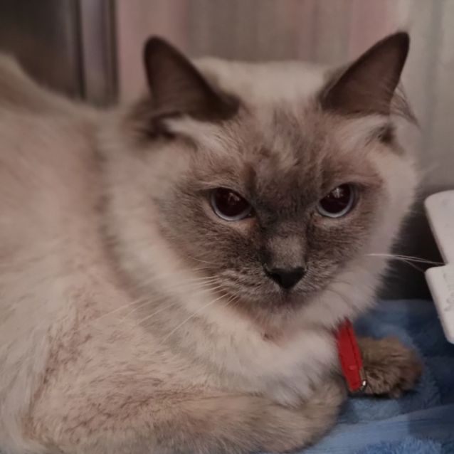 Photo of Lily And Stiles