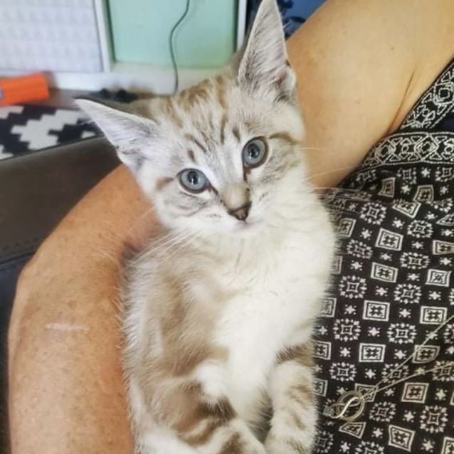 Photo of Peppermint 🍵