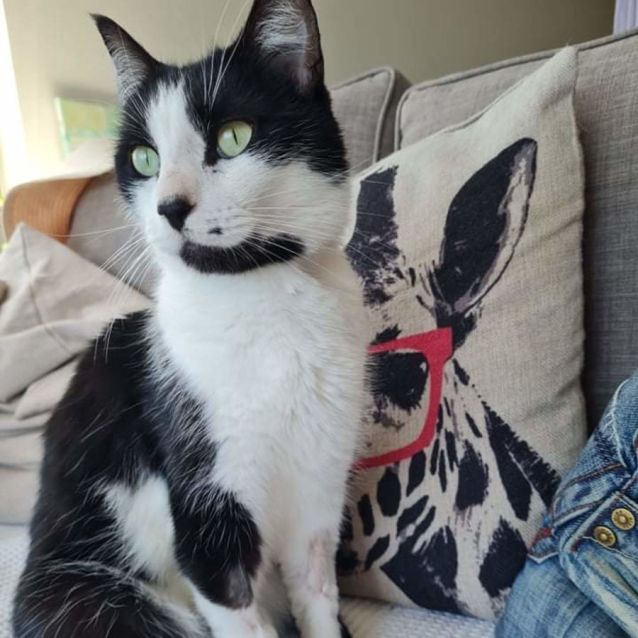 Photo of Halo (Located In Armadale)