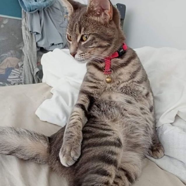 Photo of Lilly