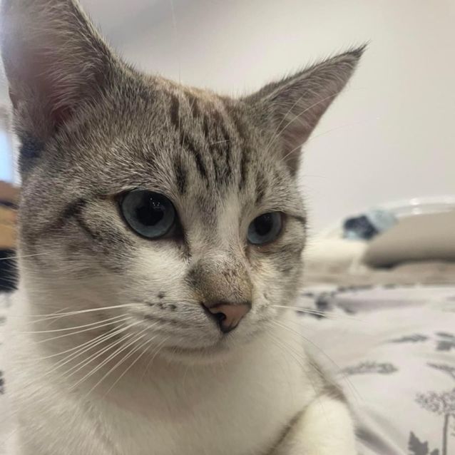 Photo of Frankie