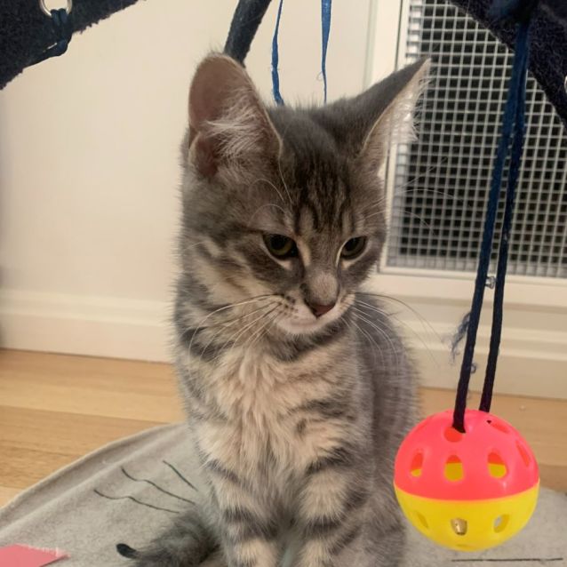 Photo of Loralie & Blossom 🌸🌼