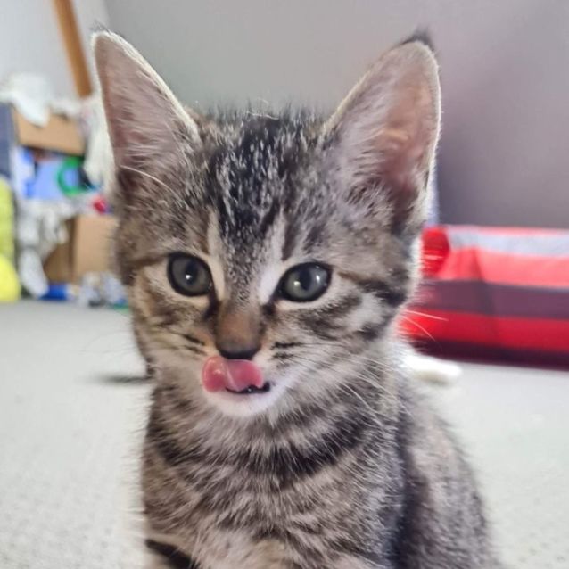 Photo of Winnie