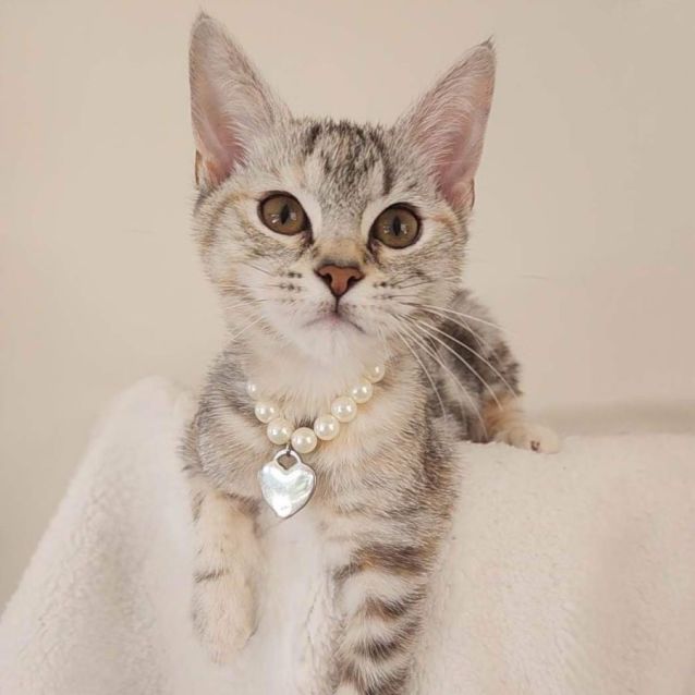 Photo of Hadley 🫶