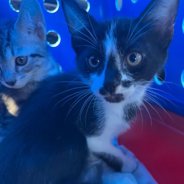 Photo of Jasper Tucker