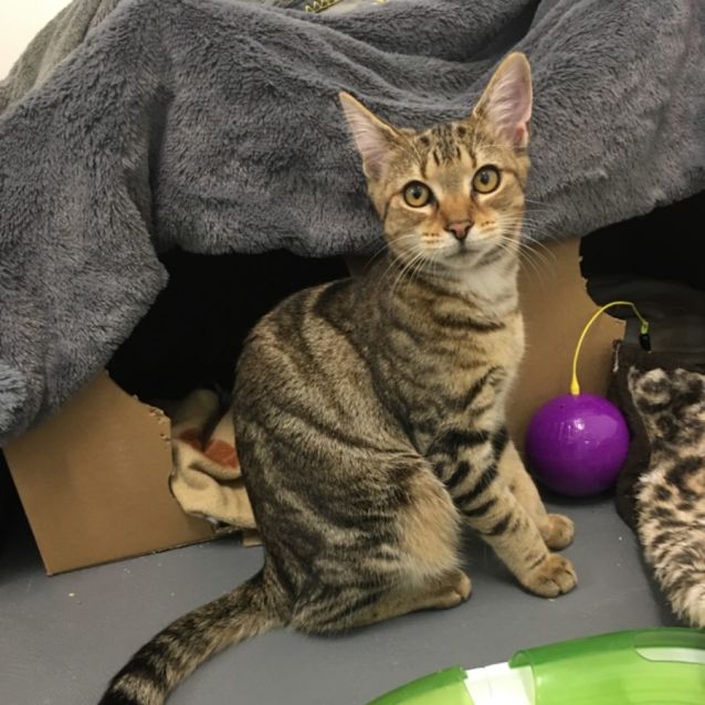 Photo of Yindi ☀️ Meet Me @ Petstock Chelsea